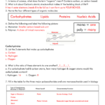 11 Organic Chem Worksheet With Answers Worksheeto