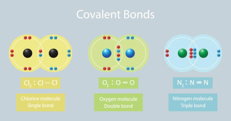 Covalent Bond Biology Dictionary - CompoundWorksheets.com