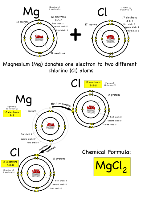 Magnesium Chloride Ionic Bond Diagram Amashusho Images