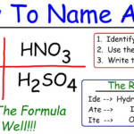 Naming Acids Practice Pogil Answer Key Quizzma