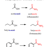 Naming Amides Chemistry Steps