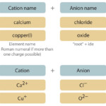 Naming Ionic Compounds