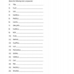 Naming Ionic Compounds Worksheet 1 Everett Community College