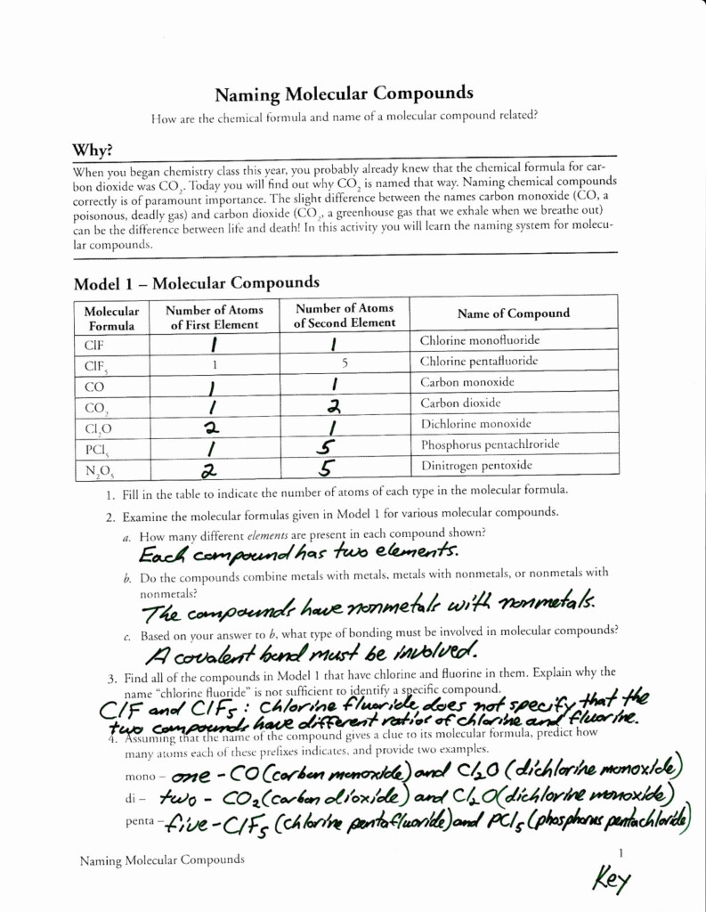 Naming Molecular Compounds Pogil Answers Netvs Db excel