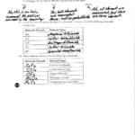 Naming Molecular Compounds Worksheet Answers FARRAHFAYY