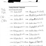 Naming Molecular Compounds Worksheet Answers Ivuyteq