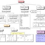 Nomenclature Concept Map By Dr Gergens