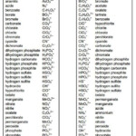 Polyatomic Ions Worksheet Answer Key Thekidsworksheet