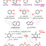 Naming Common Aromatic Compounds Cheat Sheet Study Guide By Leah4sci